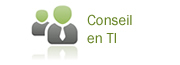 Montreal IT  Consulting, Montreal IT Consultants,  Montreal Computer Consultants
